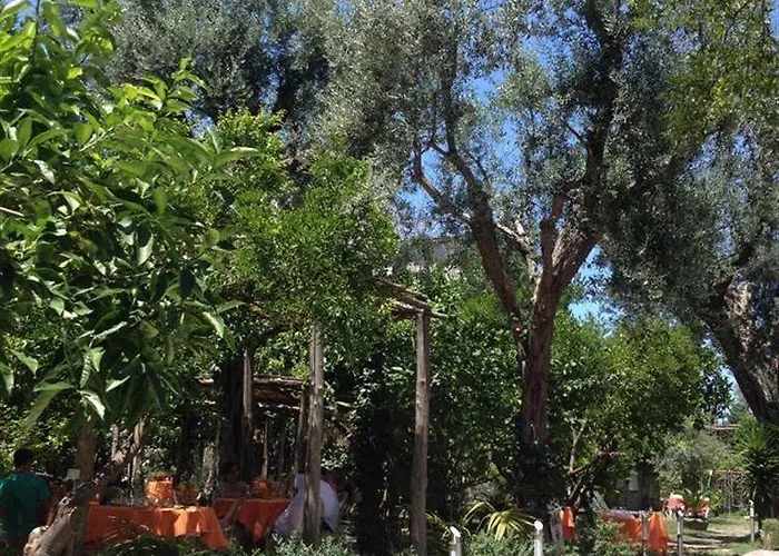 Artis Domus Relais & Gæstehus Sorrento