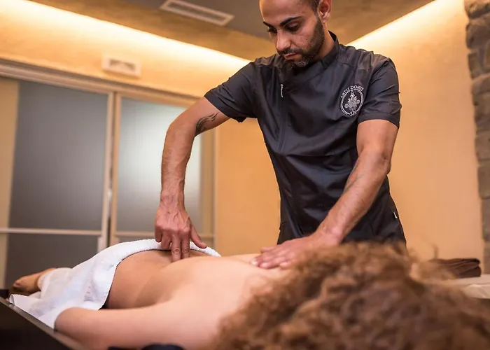 Artis Domus Relais & בית הארחה 4*