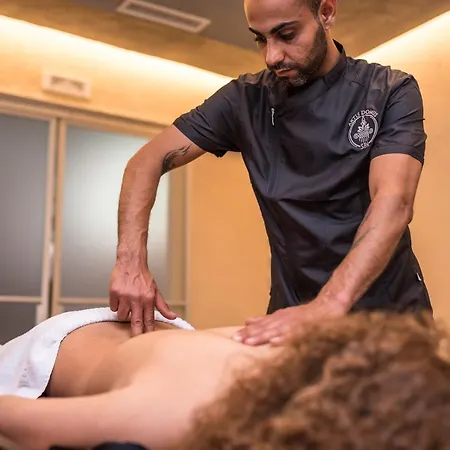 Artis Domus Relais & Гостьовий будинок 4*